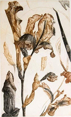Les Fleurs de Nall1.jpg
