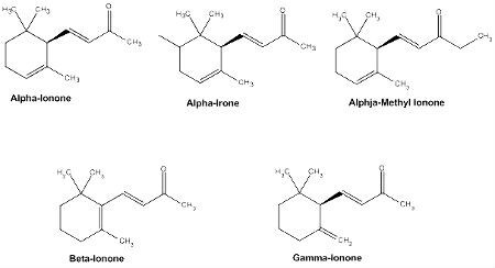 ionones irones  methyl ionones .jpg
