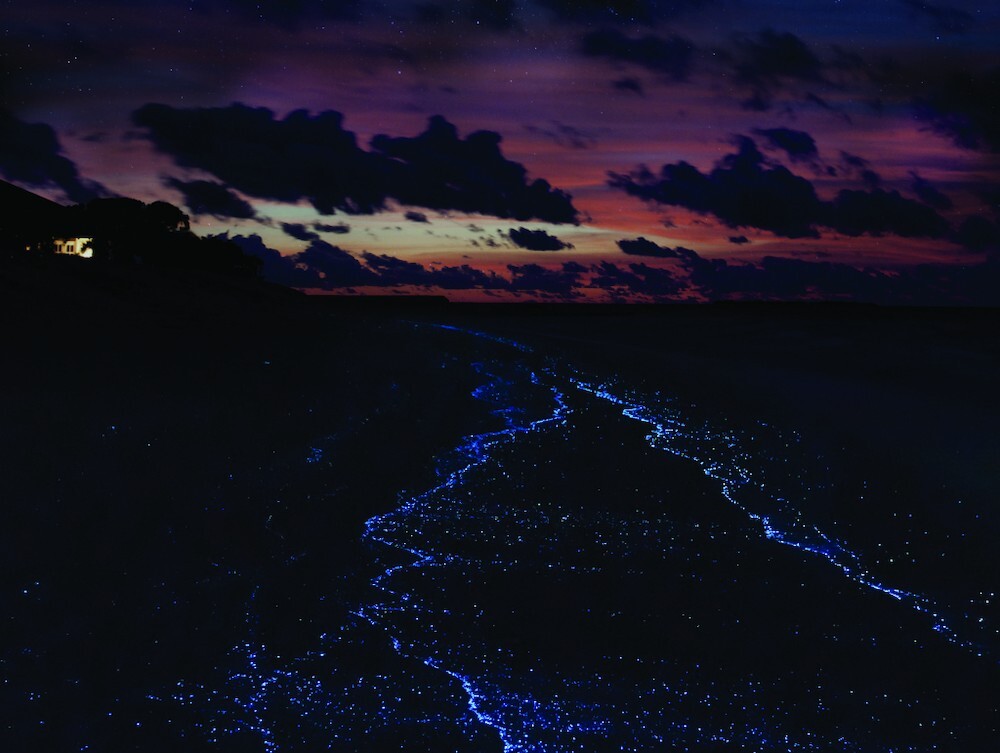 img23.jpg