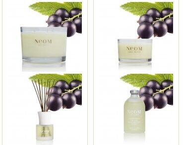 Contentment_complect home scent.jpg