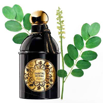 Santal Royal 2.jpg Santal Royal 2.jpg