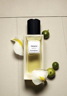 Trench.jpg Trench.jpg