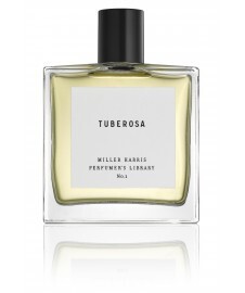 2_Tuberosa.jpg 2_Tuberosa.jpg