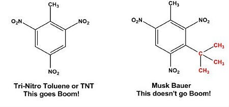 musk-1.jpg