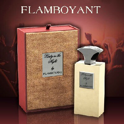 Party In The Night  box.jpg