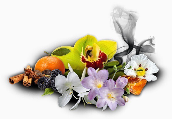 Beyonce_Heat Seduction_notes.jpg