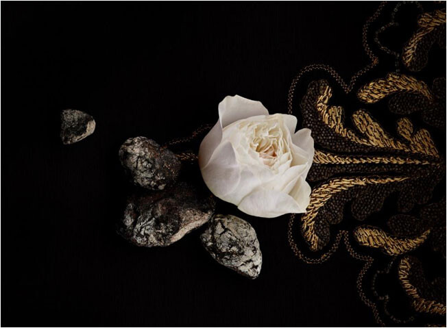 o.57436.jpg o.57436.jpg