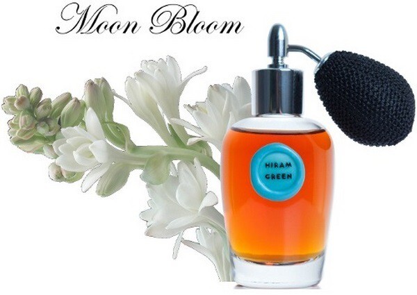 1_Moon Bloom.jpg