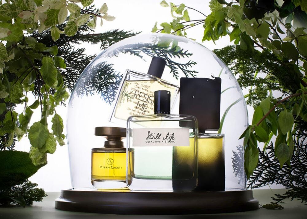 Cosmotheca 1.jpg Cosmotheca 1.jpg