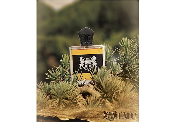 1_2_Traversee Cedre d`Ifrane.jpg 1_2_Traversee Cedre d`Ifrane.jpg