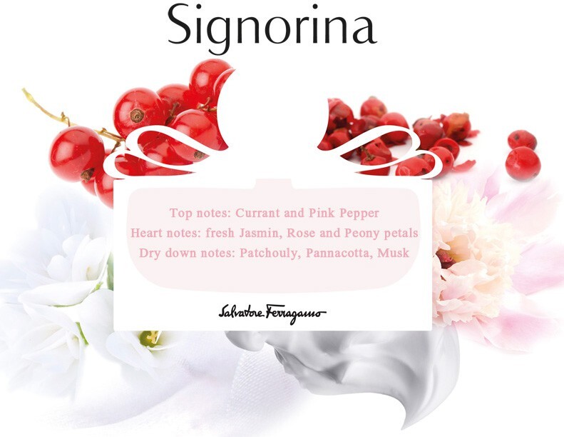 2_Signorina Limited Edition.jpg