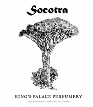 11__upload_from_email_53e_53ed5d94b6c074691822bd06690dbb38.jpg 11__upload_from_email_53e_53ed5d94b6c074691822bd06690dbb38.jpg