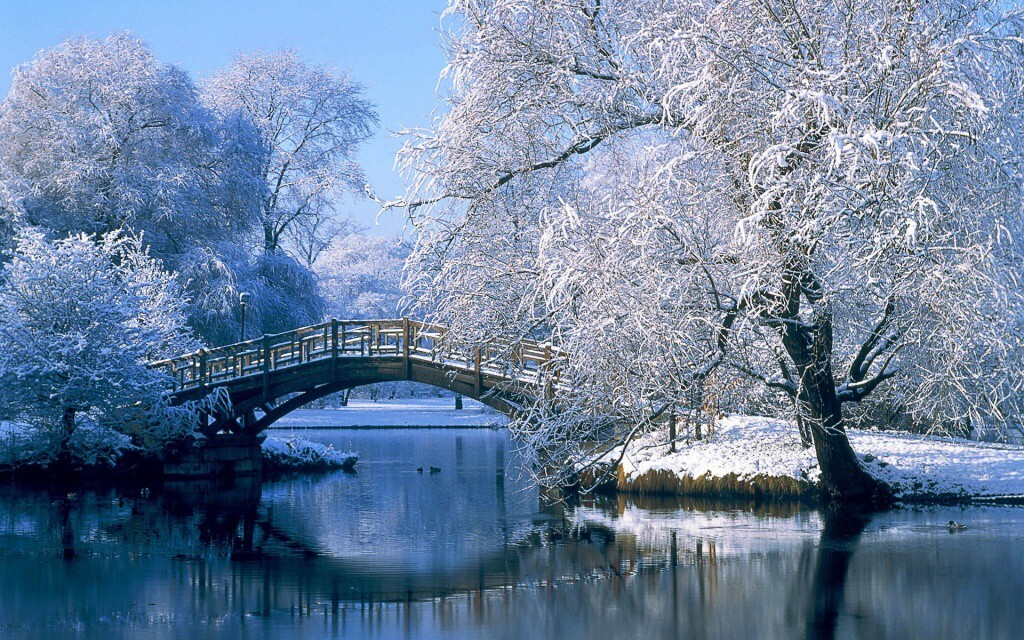 The-Winter-.-Bridge-through-a-Lake.jpg