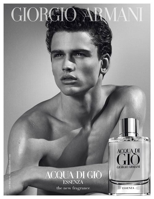 Armani Aqua di Gio Essenza1.jpg