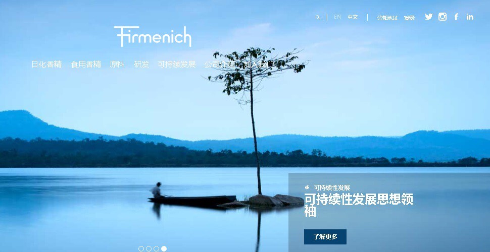8_Firmenich website of China.jpg