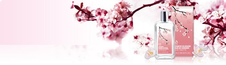 Japanese Cherry Blossom.jpg