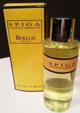 3_Spiga.jpg 3_Spiga.jpg