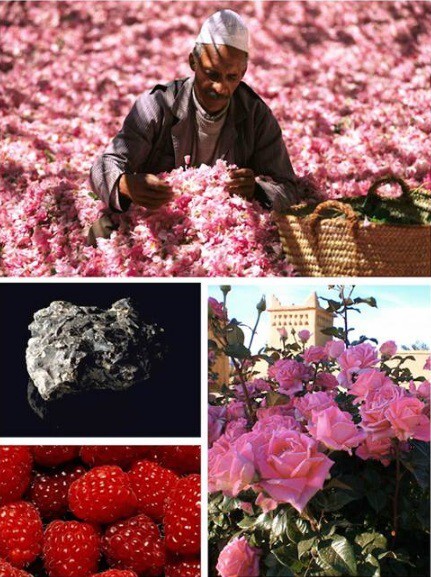 Montale_So Amber_picture.jpg Montale_So Amber_picture.jpg