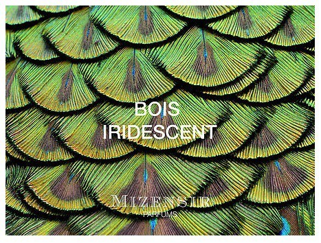 1_Mizensir_Bois Iridescent_picture.jpg