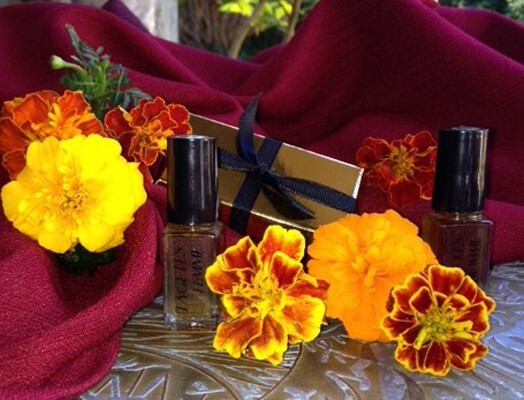 Tagetes-draw-prize-CaFleureBon.jpg