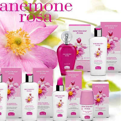 Helan Anemone Rosa .jpg