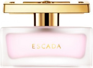 Escada-300x220.jpg