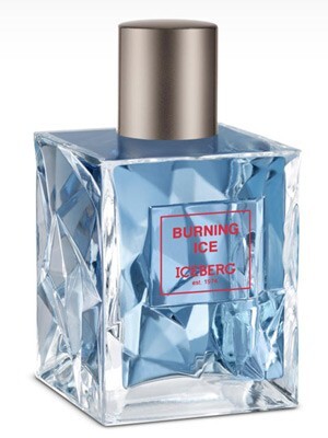 9_Iceberg Burning Ice.jpg