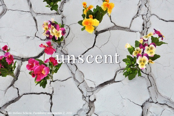 7_Unscent.jpg