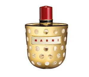5_Marni Metallic.jpg