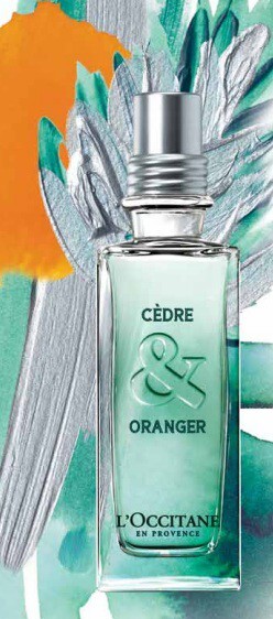 2_Cedre et Oranger.jpg