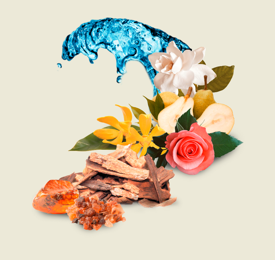 Un1t3d Woman Blauer -1.png