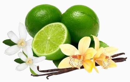 2_Yoppy_Elegant Glam_notes.jpg