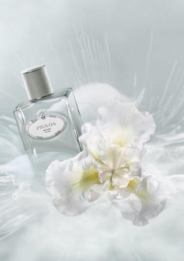 2_Prada_Infusion d`Iris Cedre_poster.jpg 2_Prada_Infusion d`Iris Cedre_poster.jpg