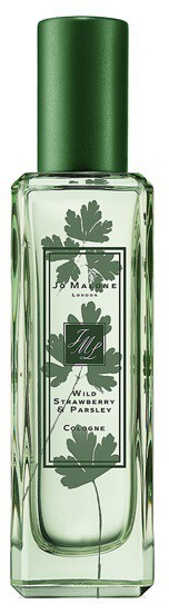 5_Wild Strawberry and Parsley.jpg 5_Wild Strawberry and Parsley.jpg