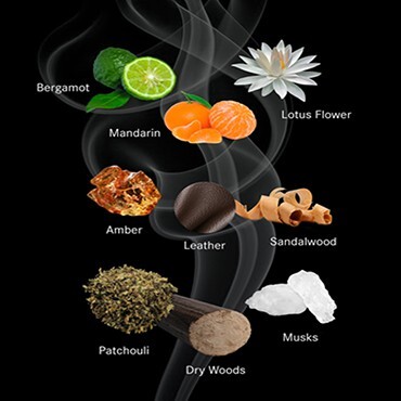 2_Mercedes-Benz Club Extreme_notes.jpg