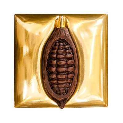 Cocoa 5 Senses 1.jpg