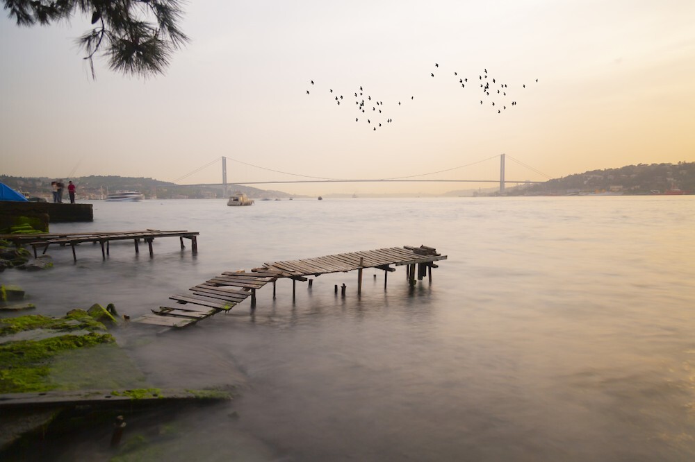 Depositphotos_302986858_xl-2015.jpg