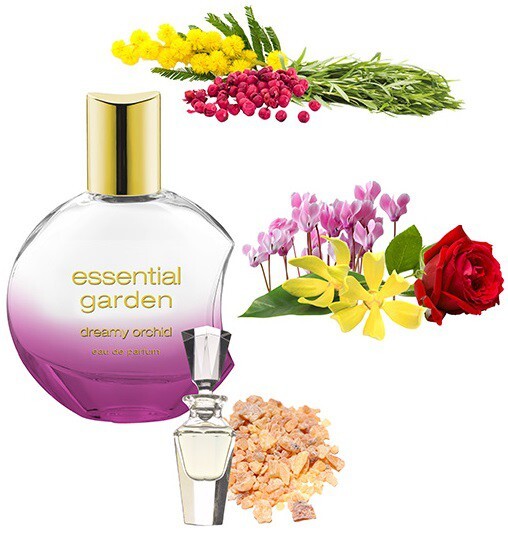 Essential Garden_Dreamy Orchid_notes.jpg