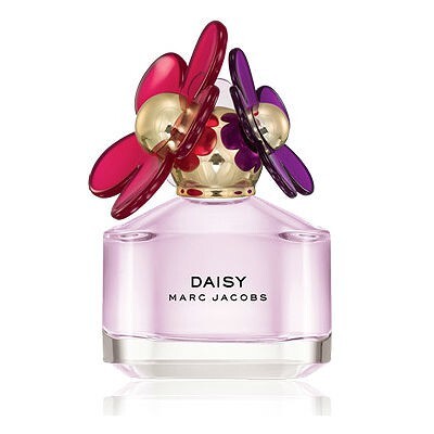 Daisy Sorbet one.jpg