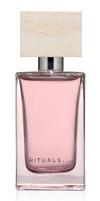 2_No.23 Magnolia and Pink Pepper.jpg