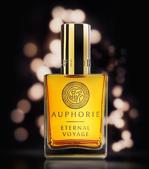 2_Eternal Voyage_poster.jpg