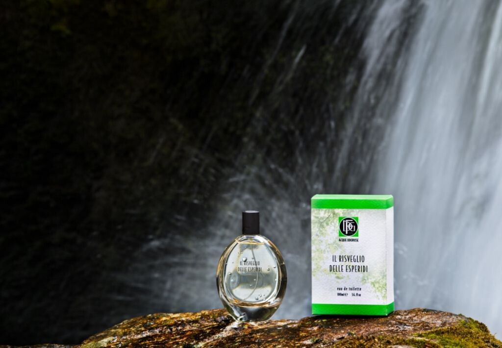 Il Risveglio delle Esperidi DFG1924.jpg Il Risveglio delle Esperidi DFG1924.jpg