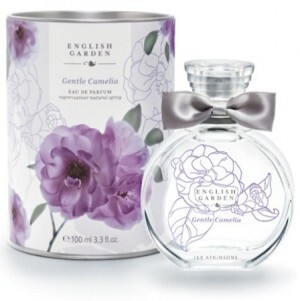 2_Gentle Camelia.jpg