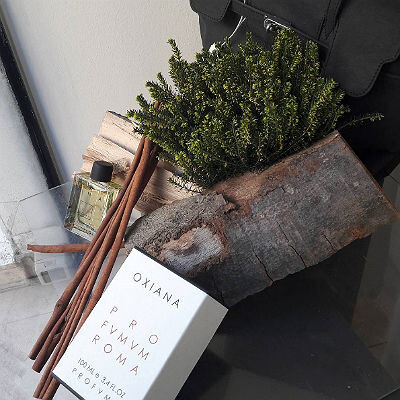 Oxiana 2016 profumum Roma.jpg