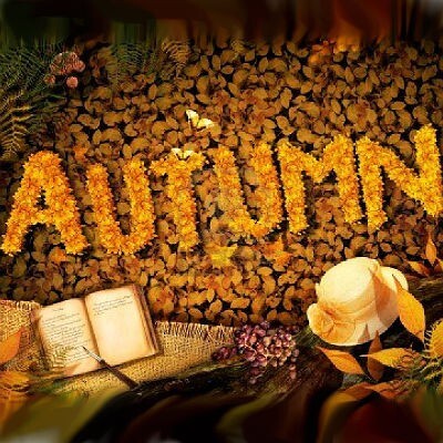 Autumn.jpg Autumn.jpg