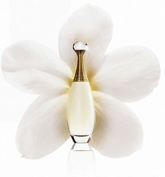 J’Adore Le Jasmin.jpg