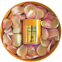 Acqua-rosa-special.jpg