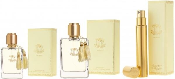 3_Calypso St. Barth_Mimosa_line.jpg