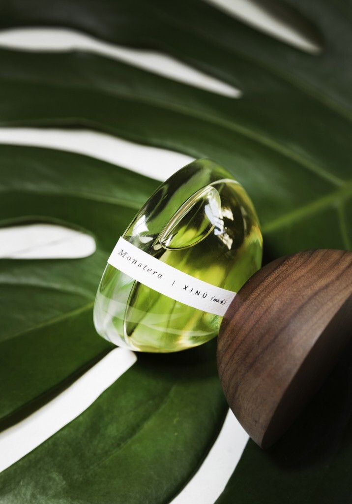 Monstera Monstera.jpg