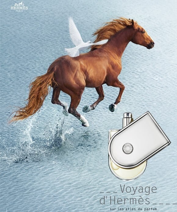Рекламный плакат Voyage, 2010 год